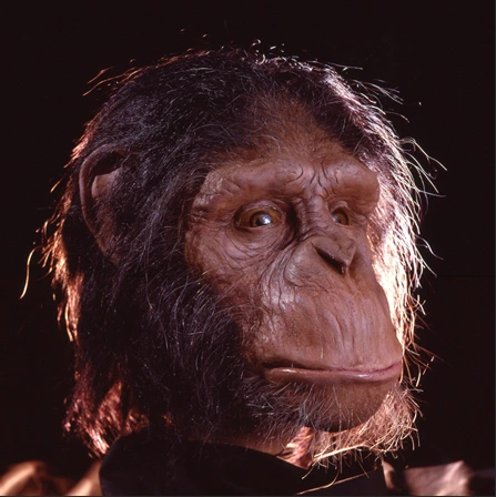Jacques Gastineau creation - Animatronic Chimpanzee for a Movie